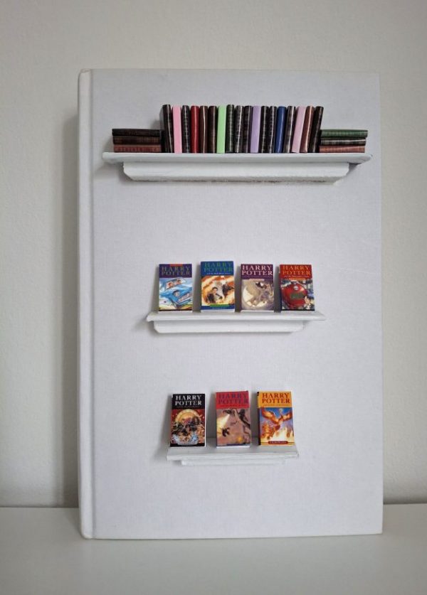 Book Nook (with 7 Harry Potter miniatures)