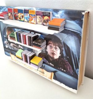 Book Nook (with 7 Harry Potter miniatures)