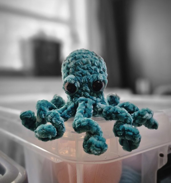 Marble, the Octopus 🐙 - Image 4