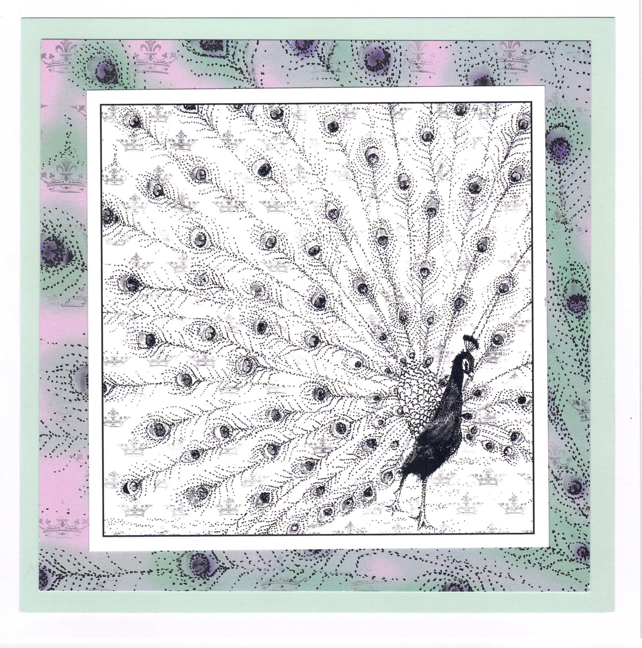 Peacock feathers - Image 2