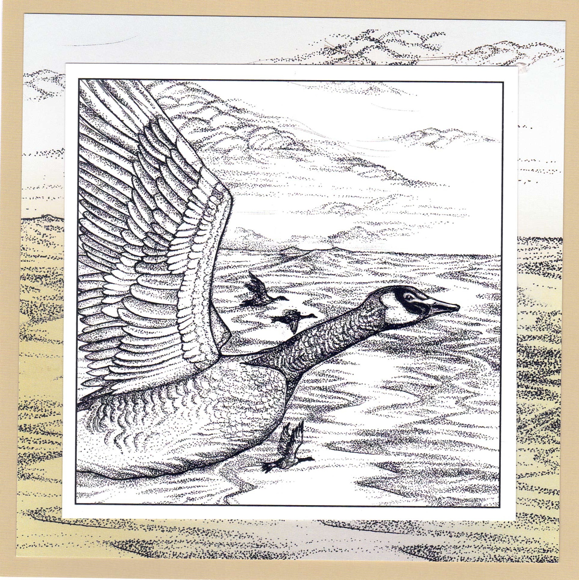 Canada Goose - Image 2