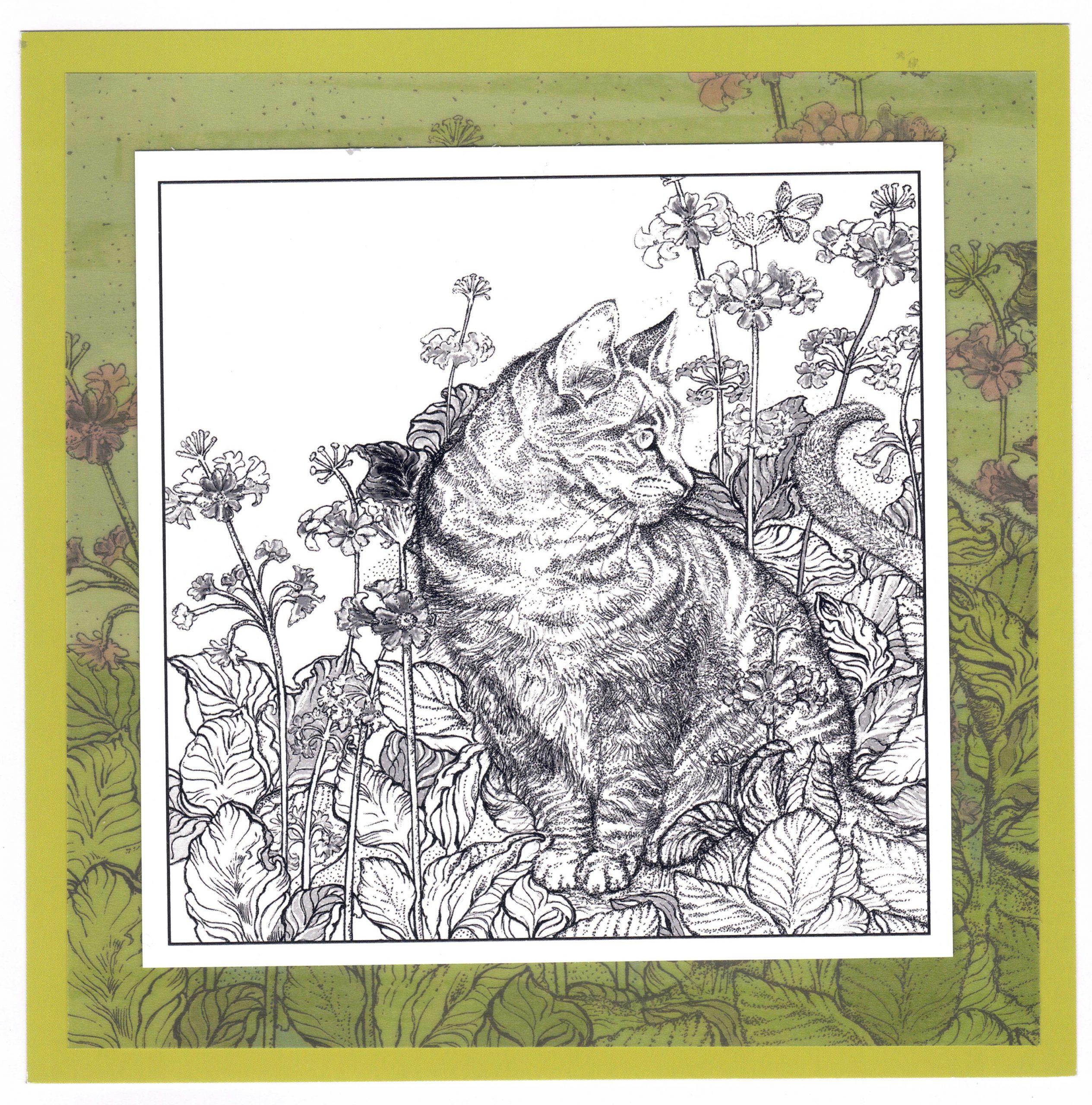 Cat in the garden - Image 2