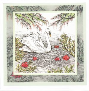 Swan Greeting Card