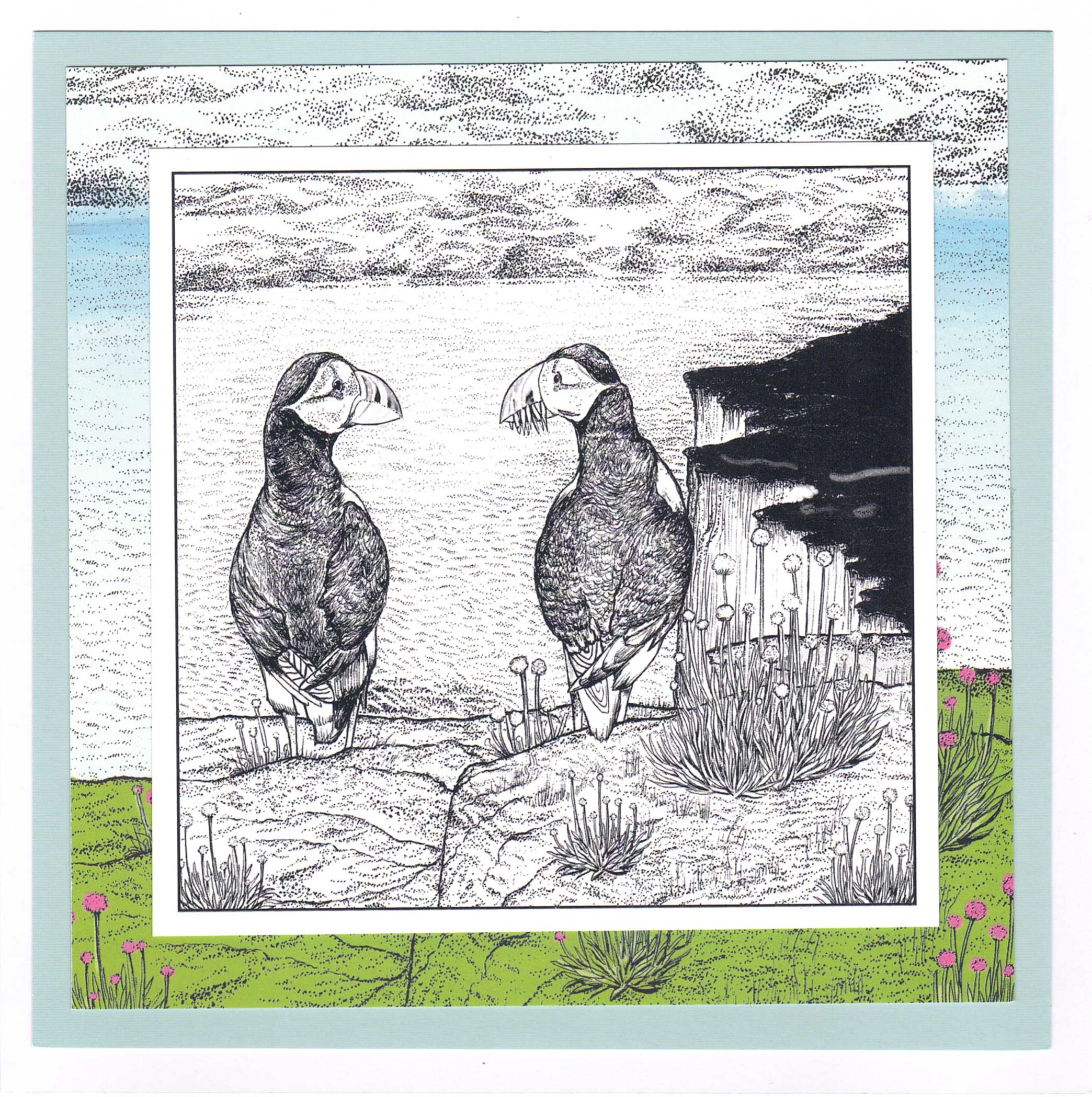 Puffins - Image 2