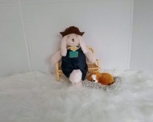 New, high-quality generic, non-branded soft toy bunny with unique, custom-made pair of dungarees and cowboy hat by Enchanting World.