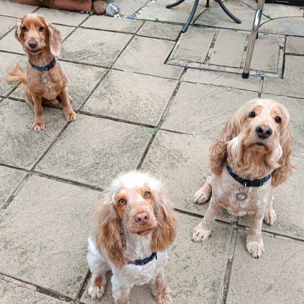 Riverside Cottage Creations