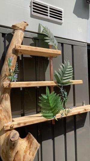 Tree and bird shelving