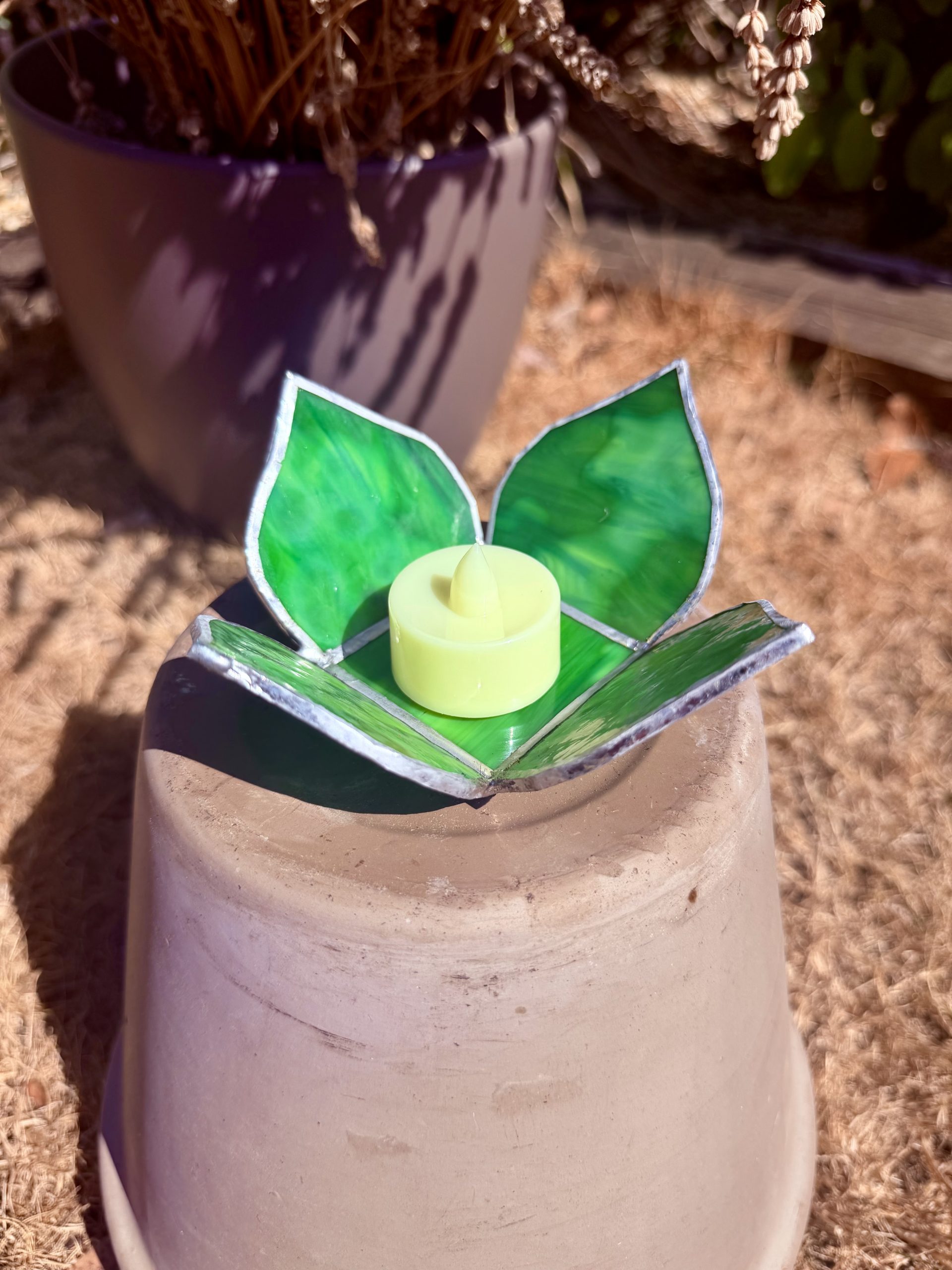 Lily Pad Collection - Image 3