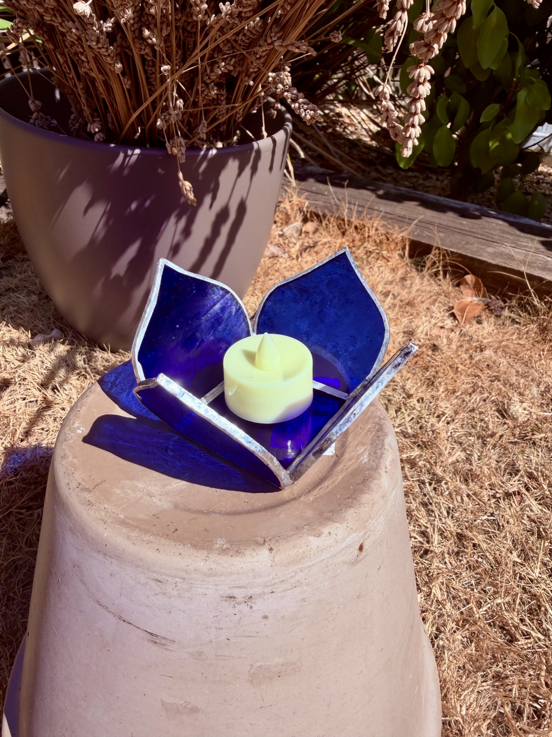 Lily Pad Collection - Image 2