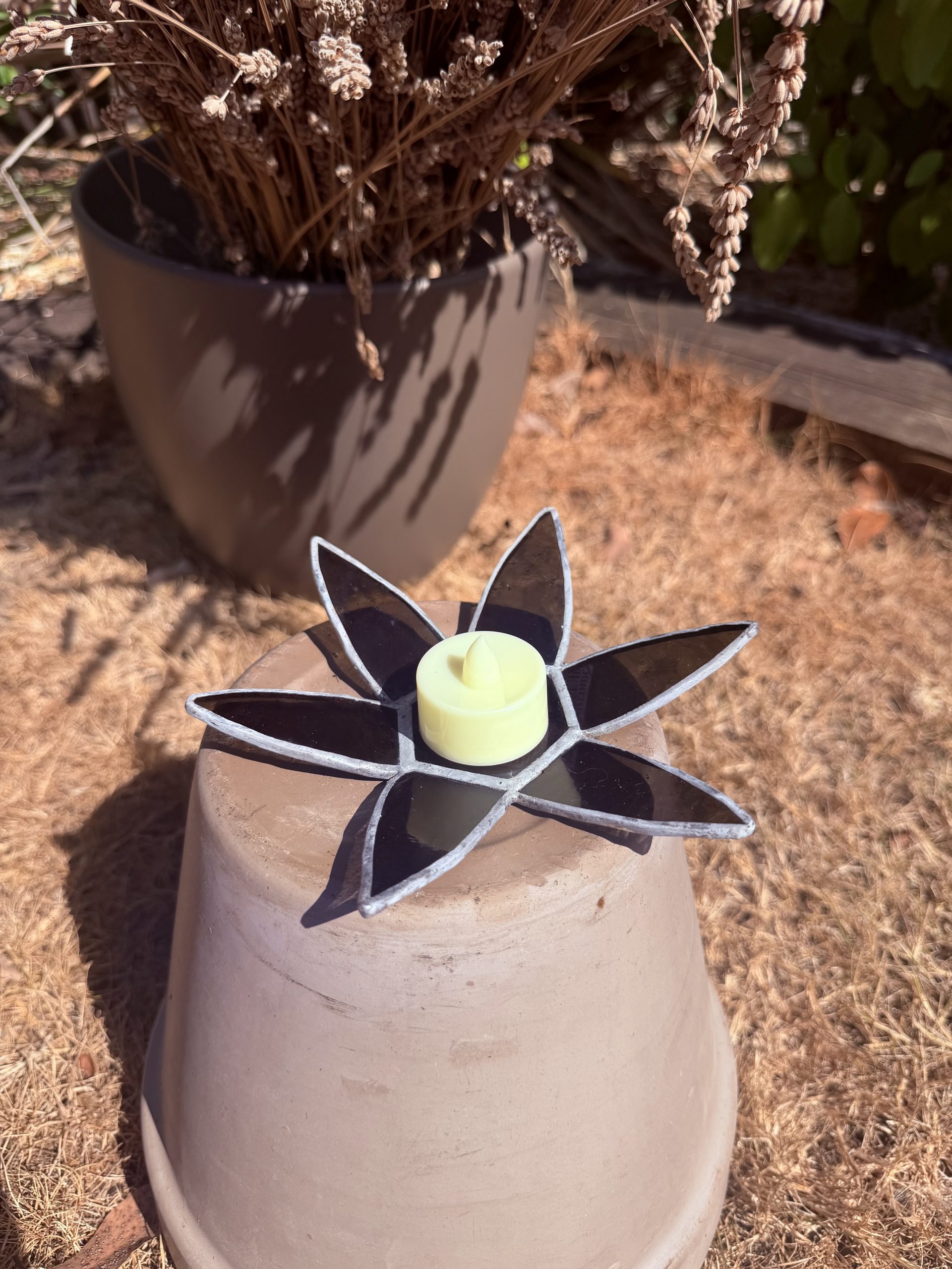 Lily Pad Collection - Image 4