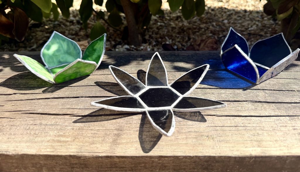 Lily Pad Collection