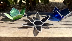 Lily Pad Collection