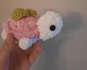 Strawberry Turtle