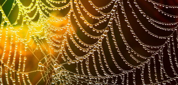 SpiderWeb Glass